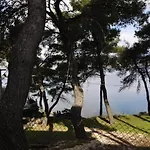 Eden